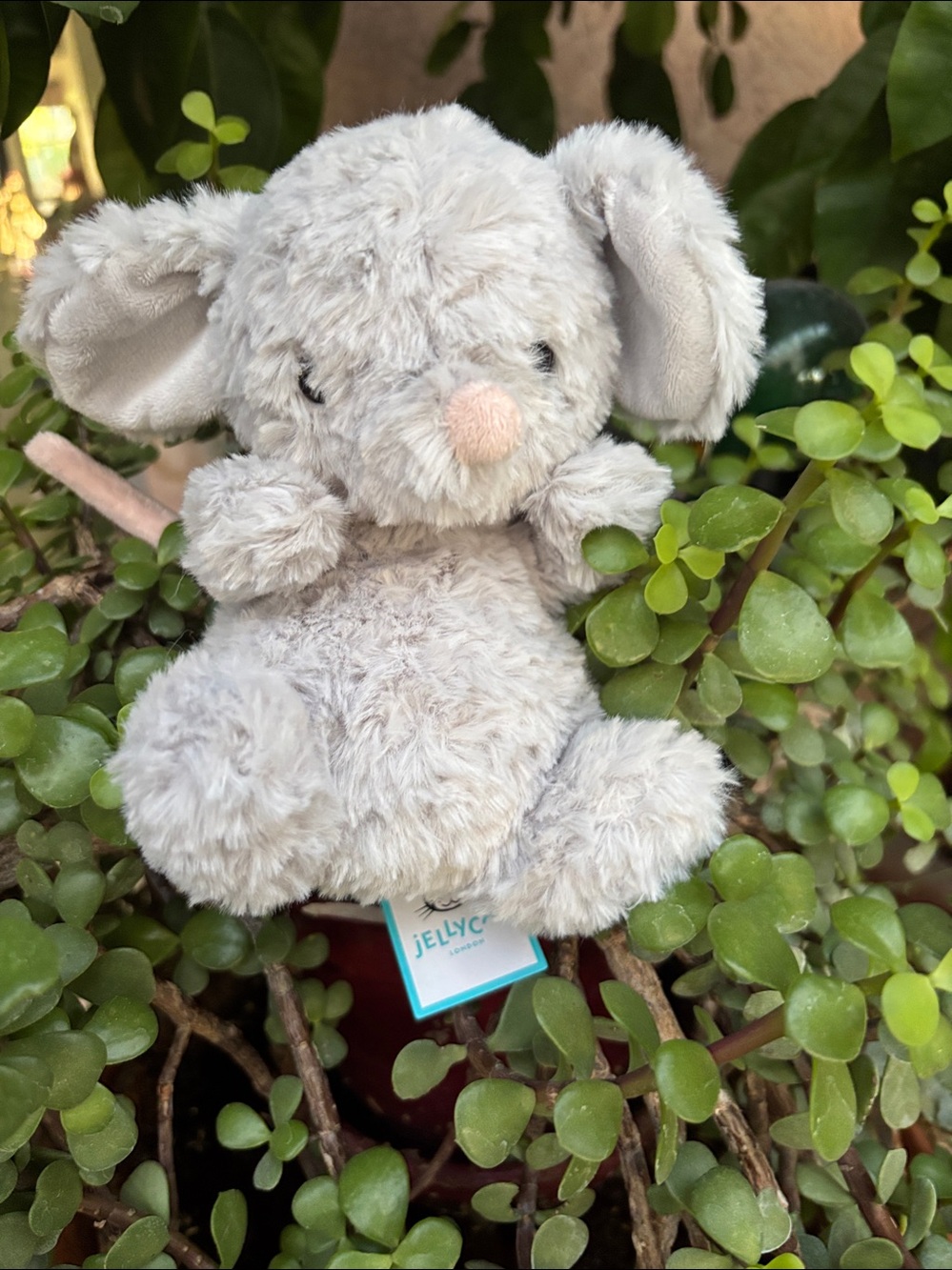 Jellycat YUMMY MOUSE in-hand authentic US seller collect HTF collectible NEW